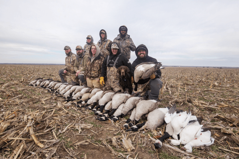 If you can't get access to the field geese are feeding in, you must get under them.