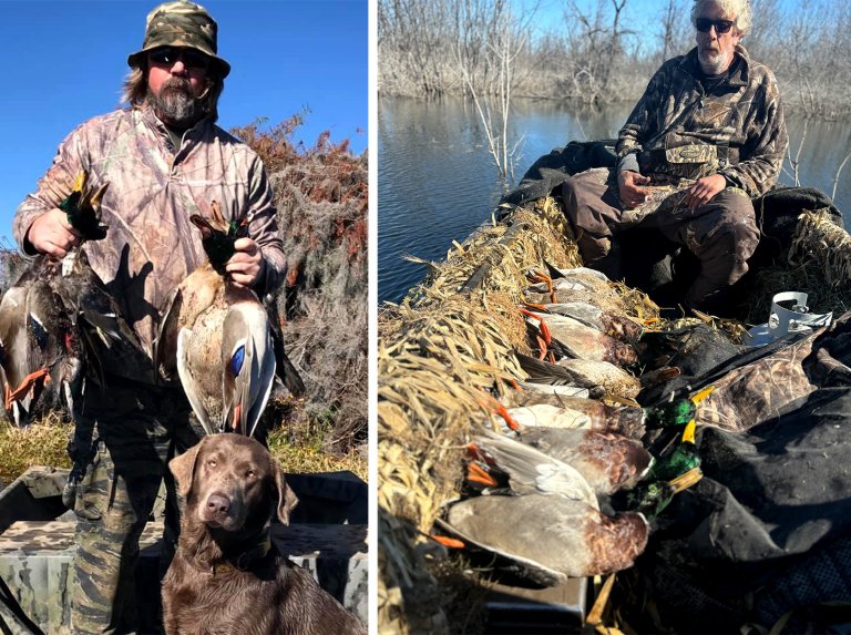Two photos of duck hunters after successful mallard hunts.
