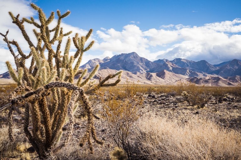 A tract of public land in the Pahrump Valley in Nevada.